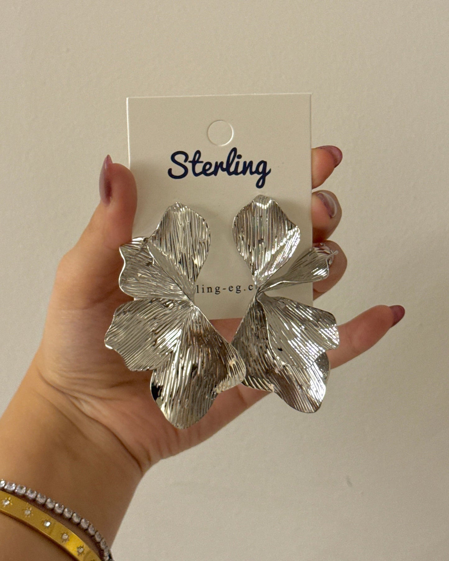 Earrings 25111809