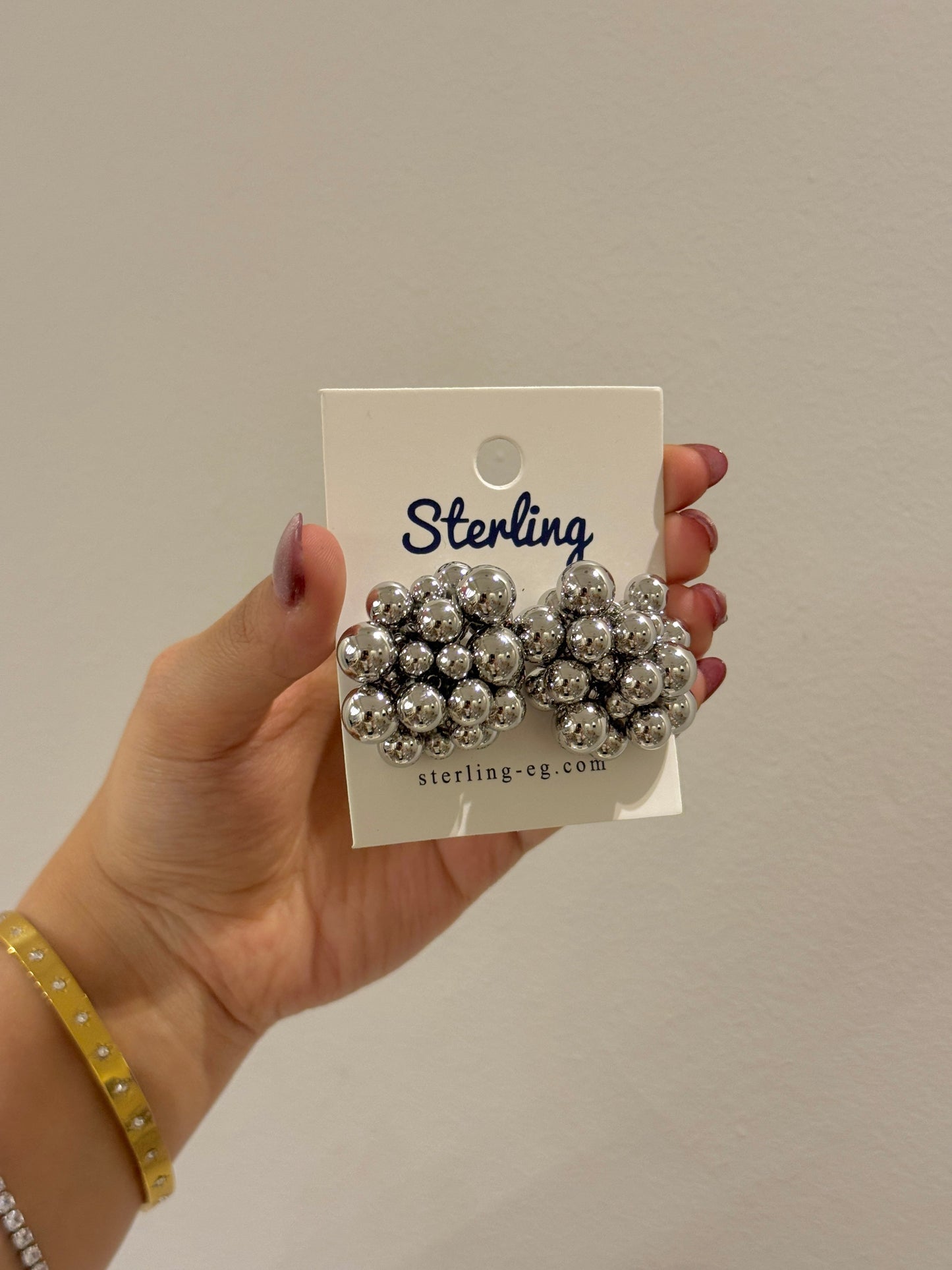 Earrings 25112101-1
