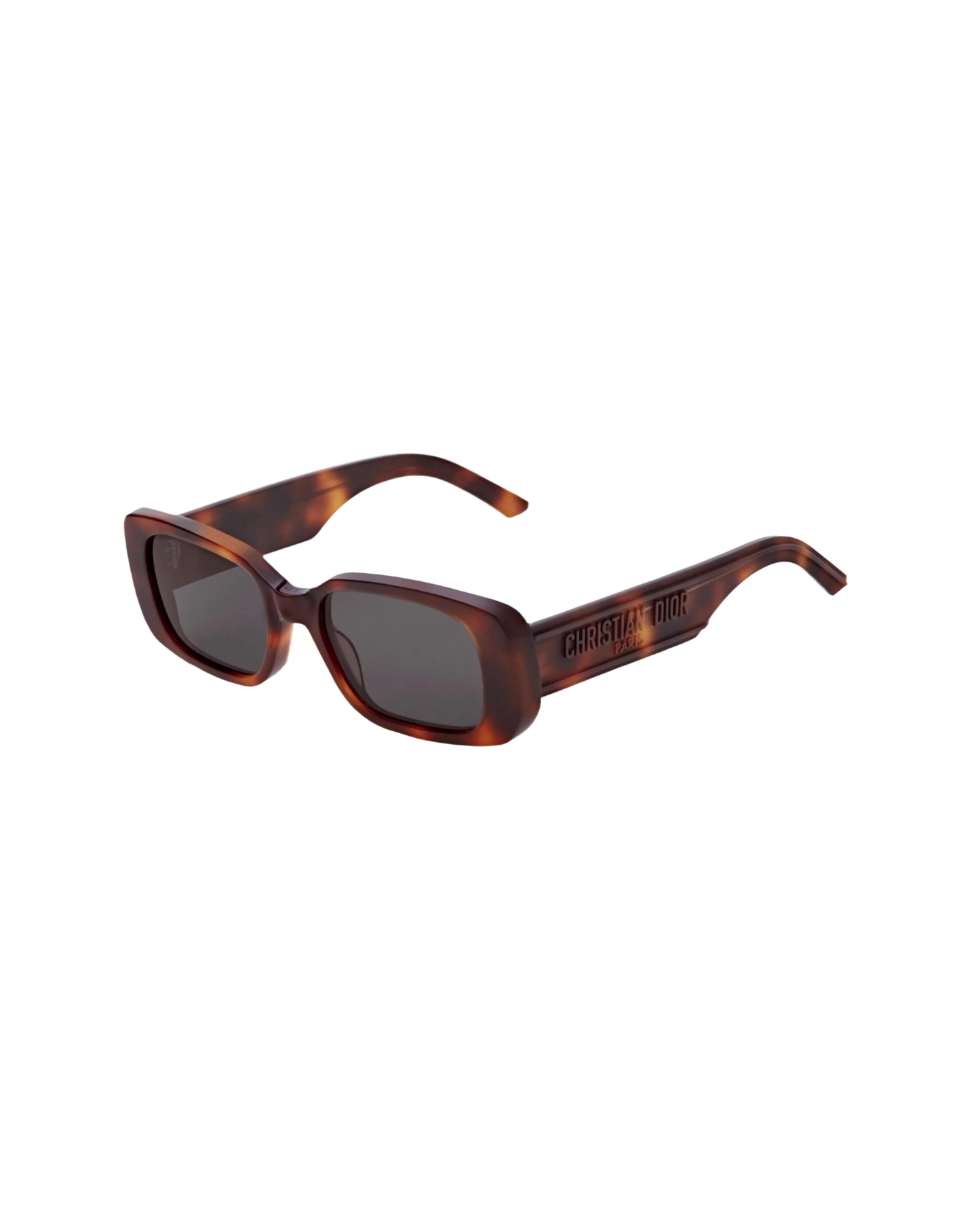 Christian Dior WILDIOR S2U Sunglasses