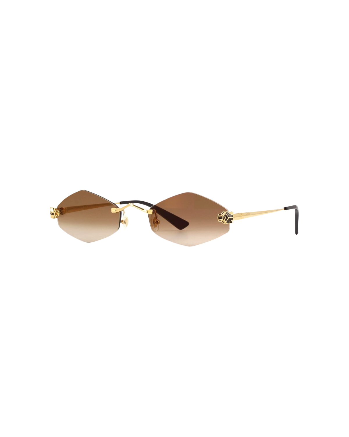 CT0433S Sunglasses