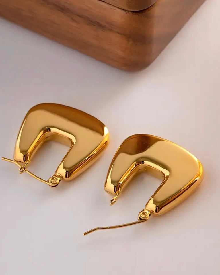 Earrings 2026802