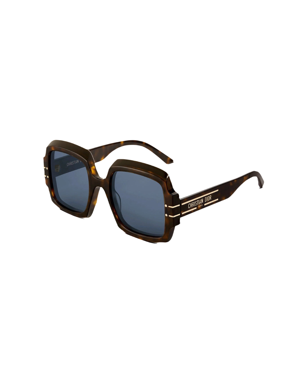 Dior Signature S1U Sunglasses