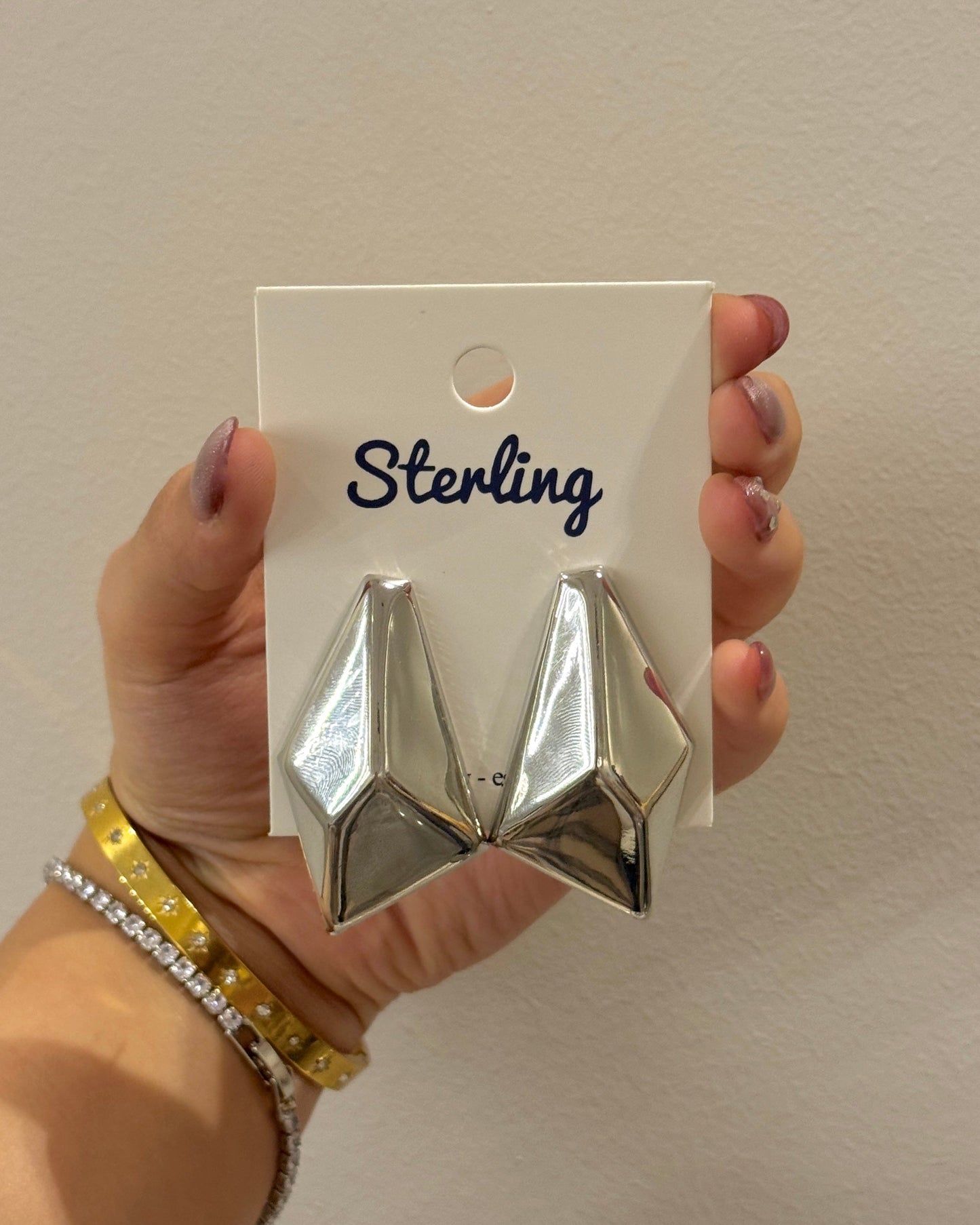 Earrings 25112104