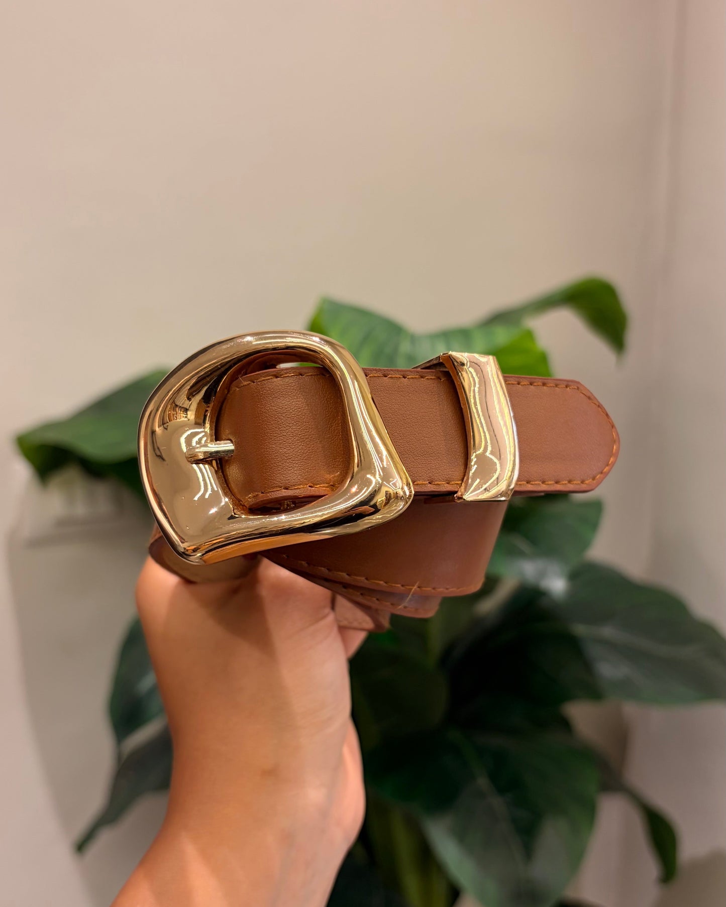 Belts 8072026