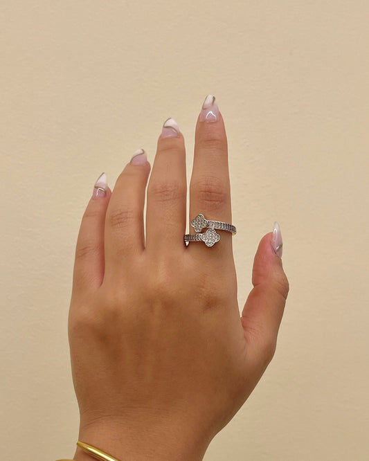 Rings 2026305