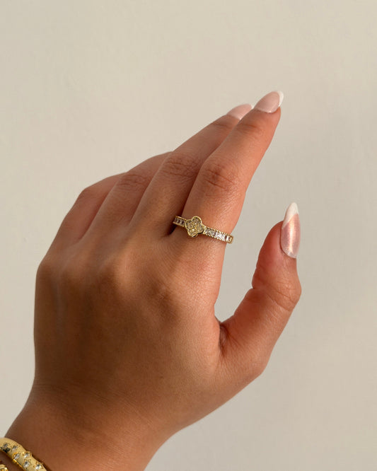 Rings 25111101-7
