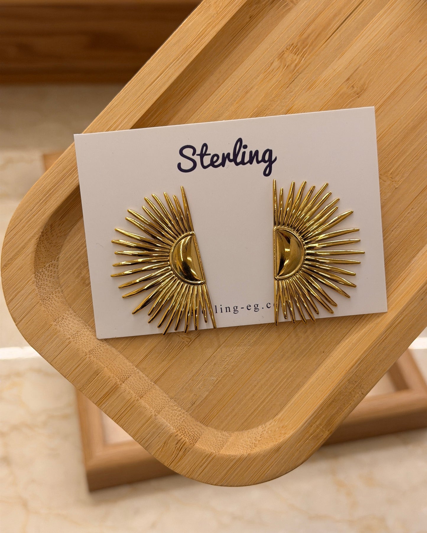 Earrings 2026801