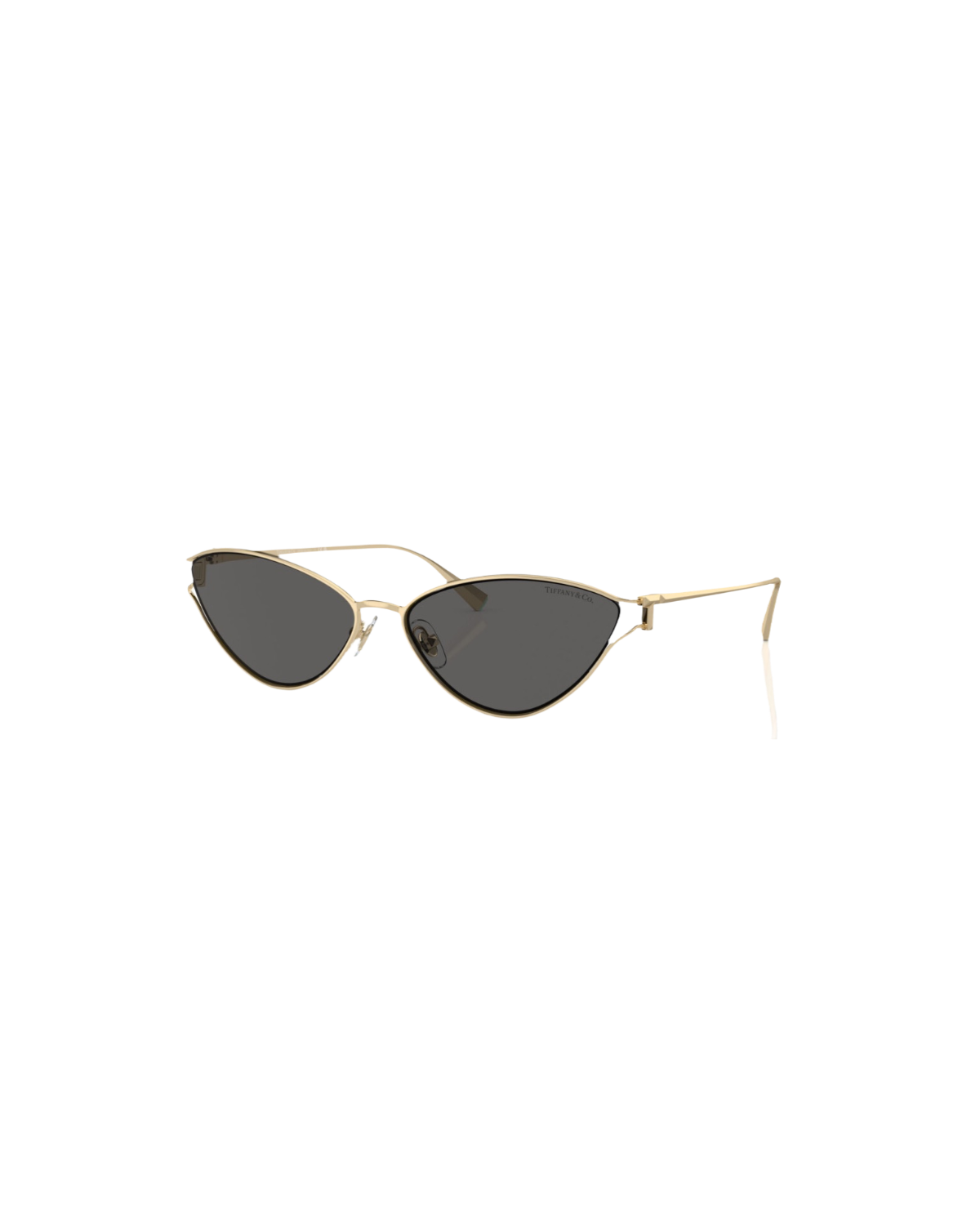 TF 3095 Cat Eye Sunglasses