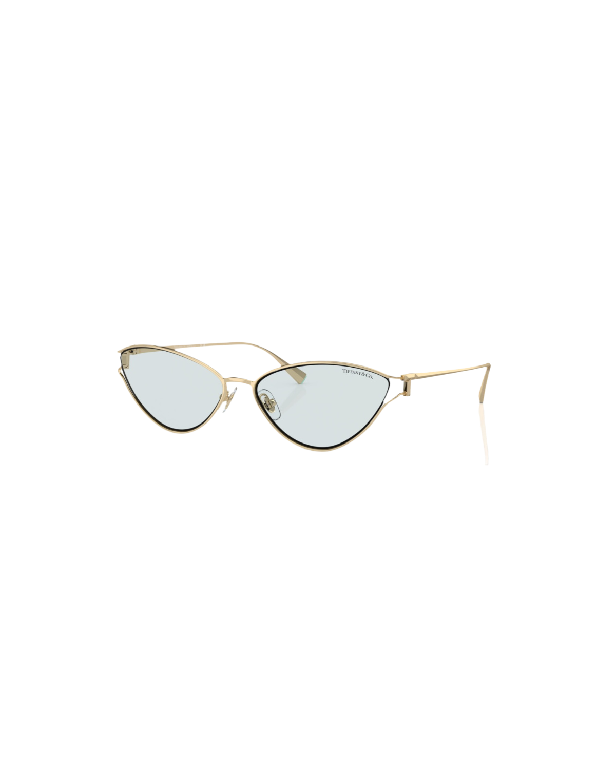 TF 3095 Cat Eye Sunglasses