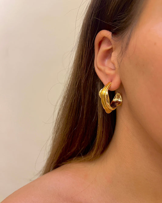 Earrings 20268012