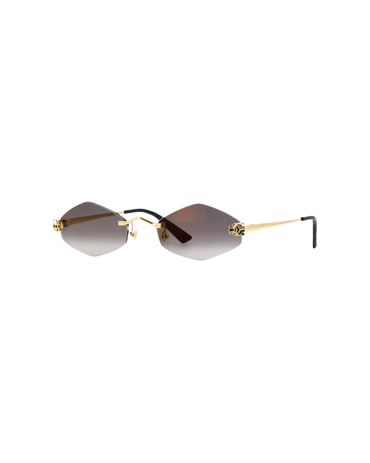 CT0433S Sunglasses