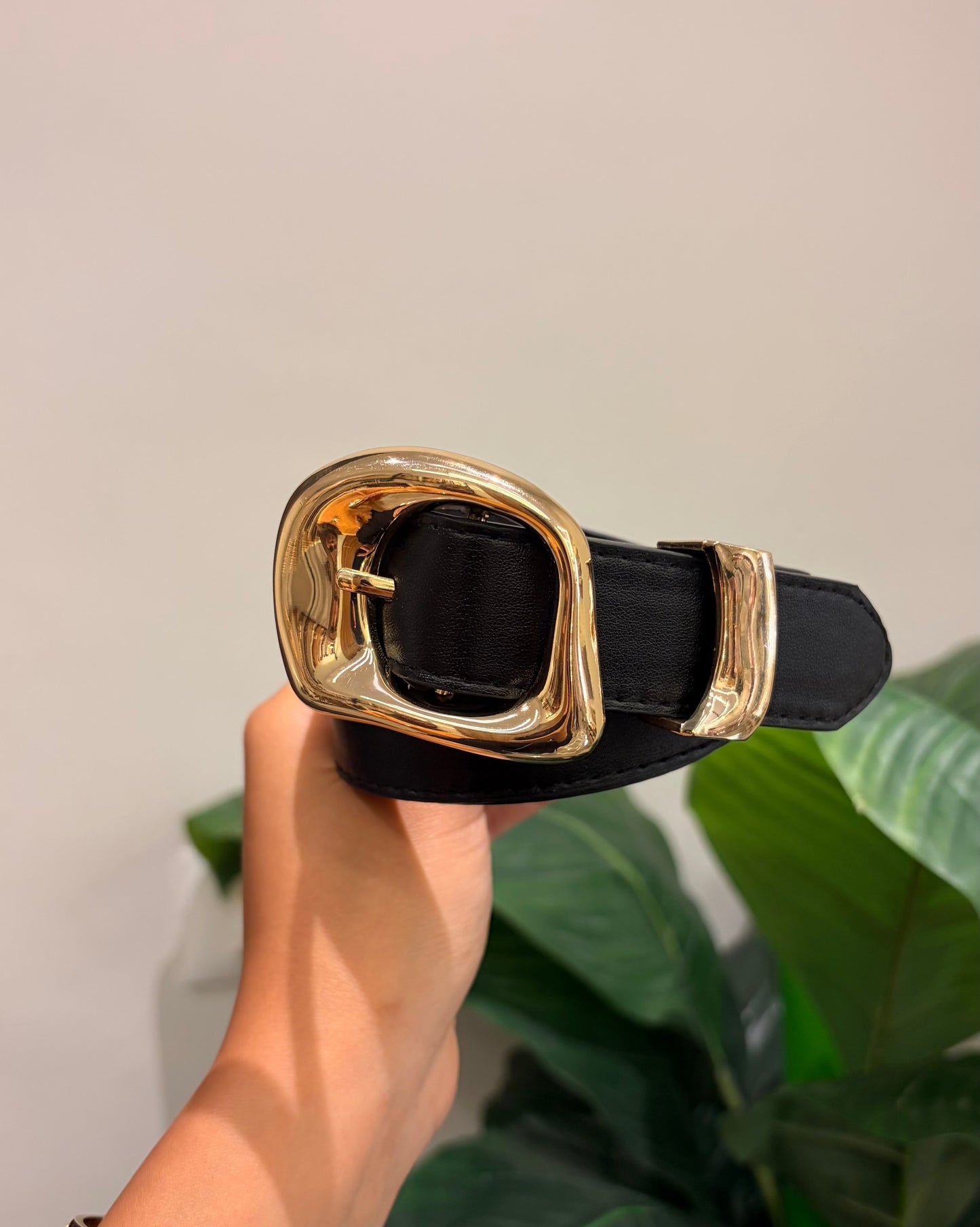 Belts 8072026