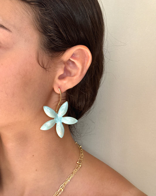 Earrings 26051501