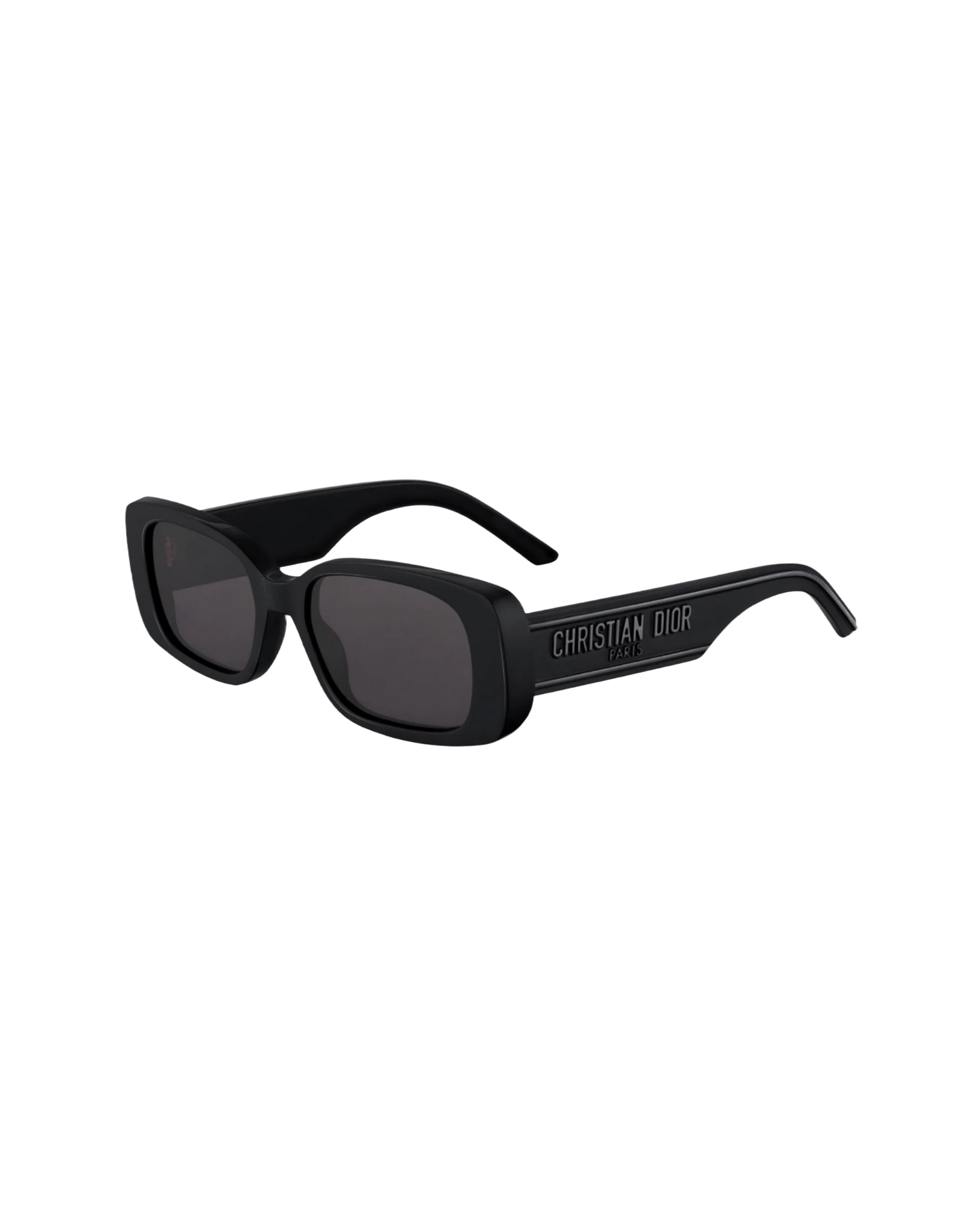Christian Dior WILDIOR S2U Sunglasses