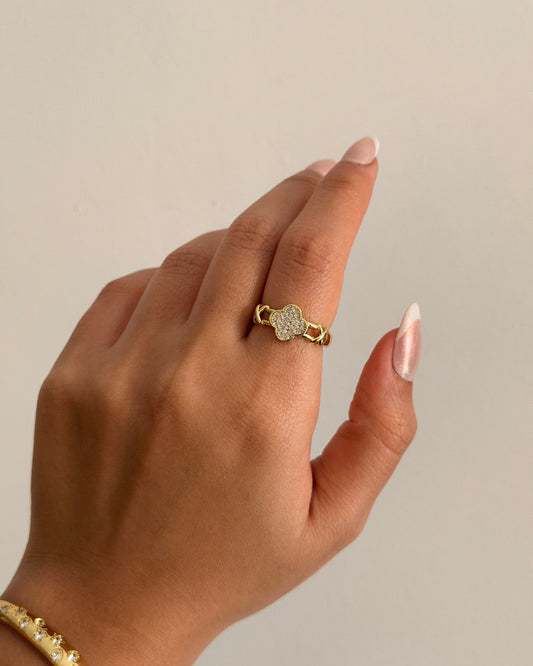 Rings 25111101-10