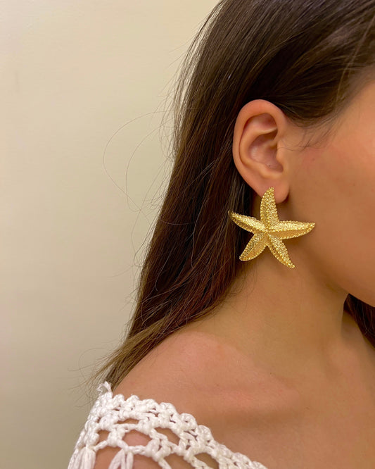 Earrings 20268017