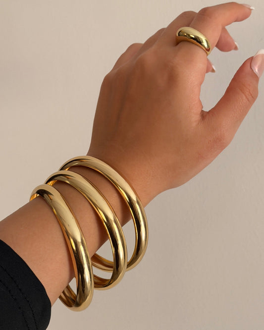 Bracelet 20110904