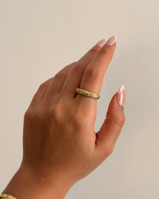 Rings 25111101-6