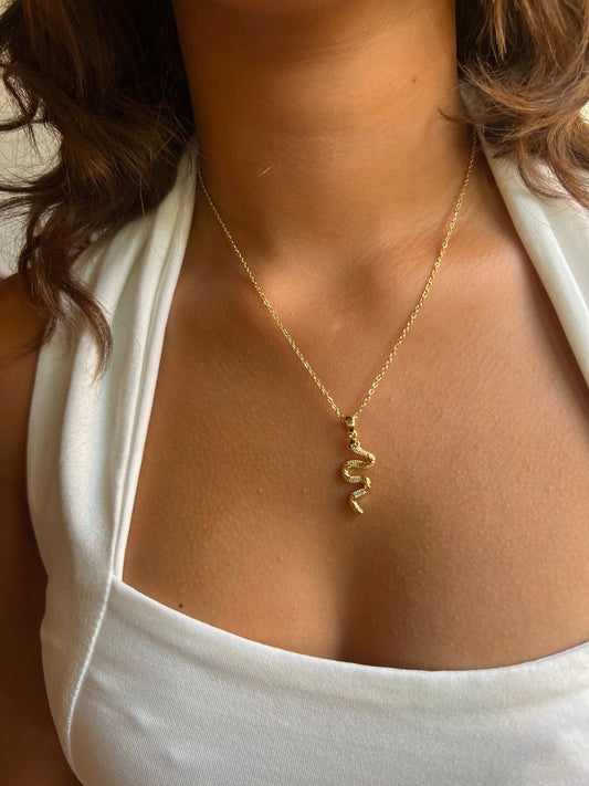 Necklace 2026708