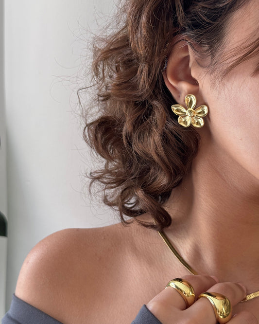Earrings 20268033