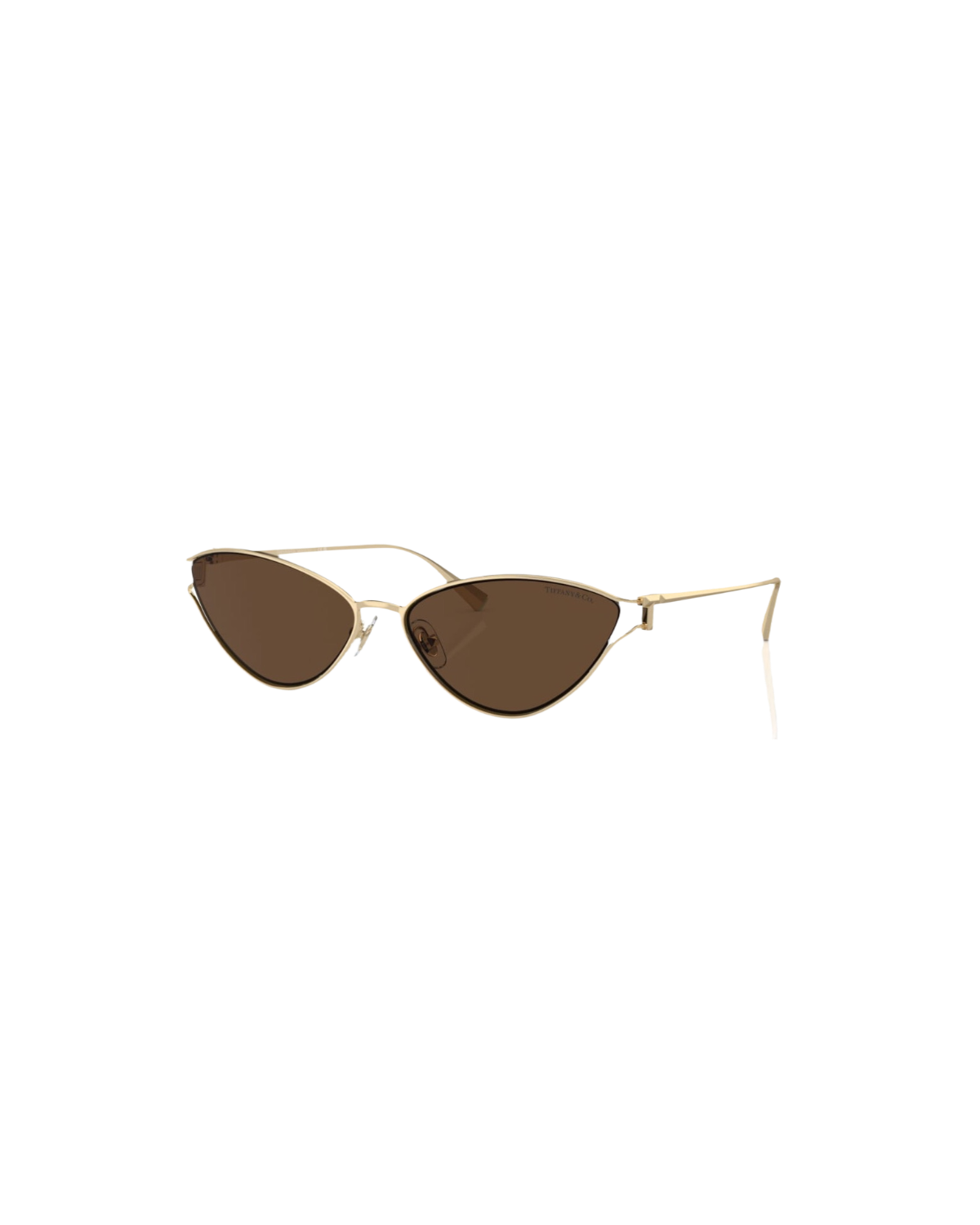 TF 3095 Cat Eye Sunglasses