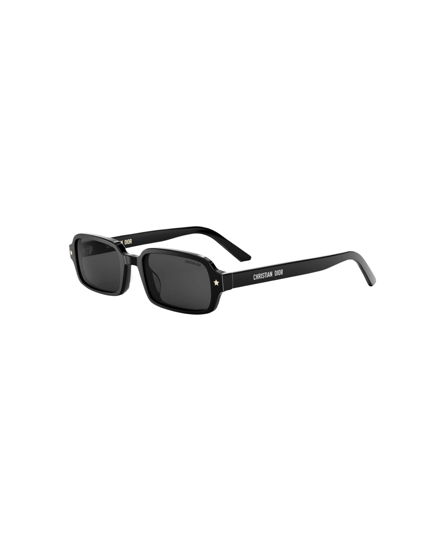 CD s3i Rectangular Sunglasses
