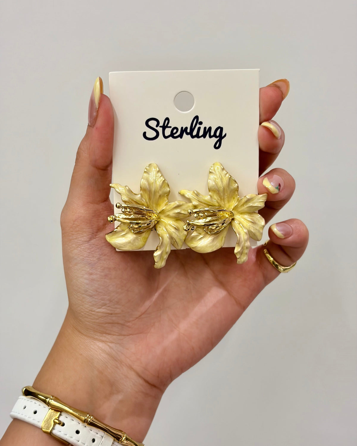 Earrings 26051502