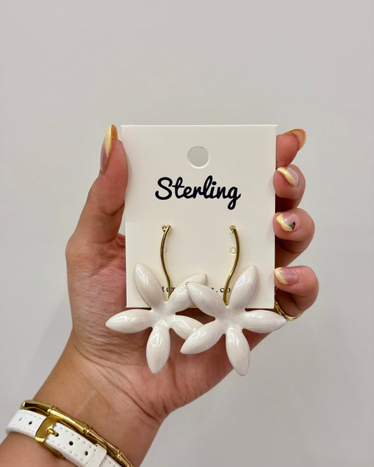 Earrings 26051501