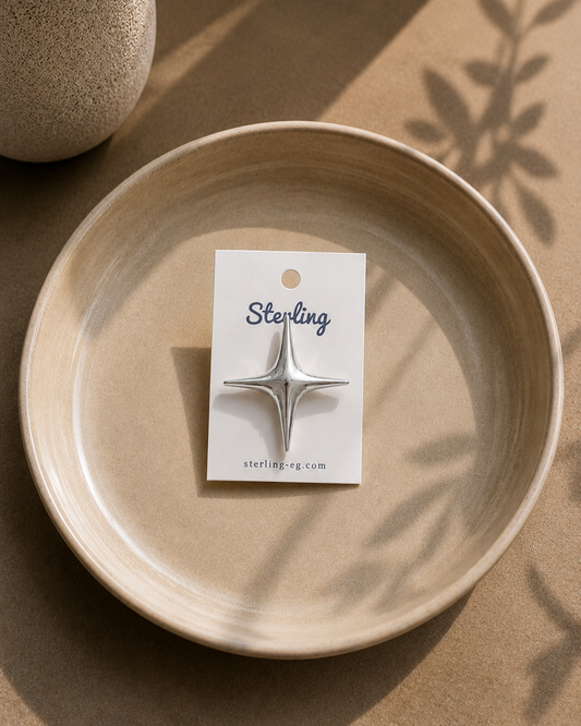 Brooch 25110702
