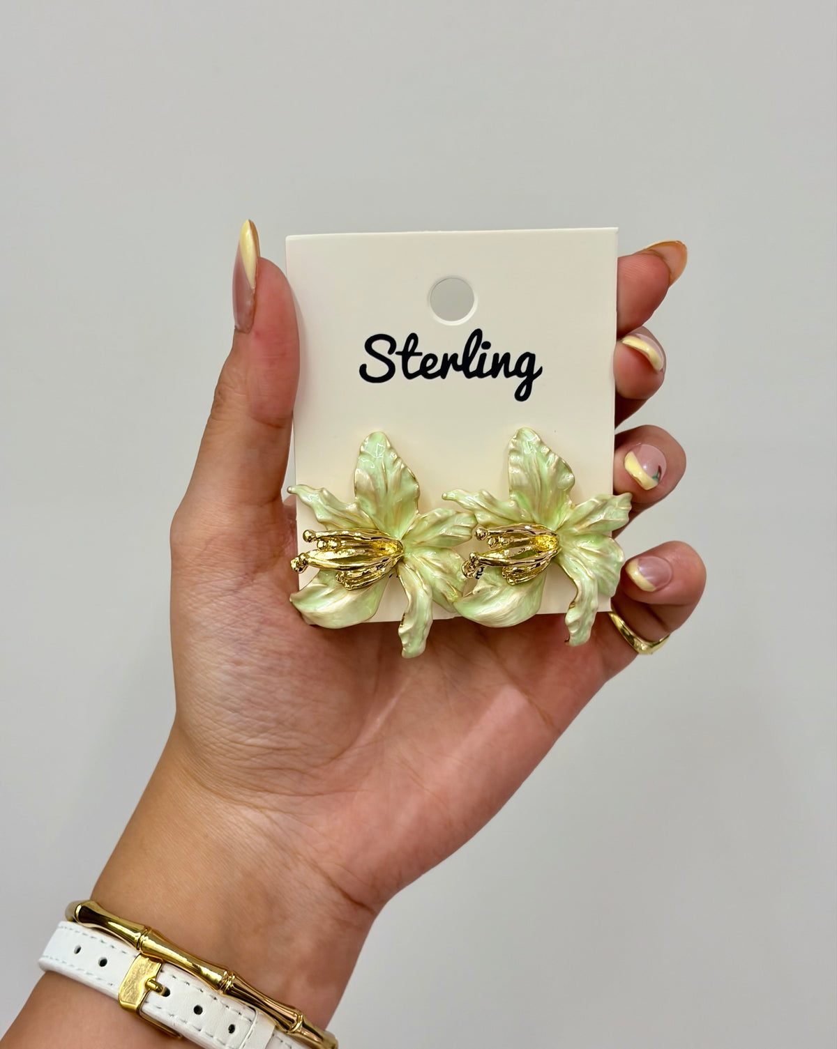 Earrings 26051502