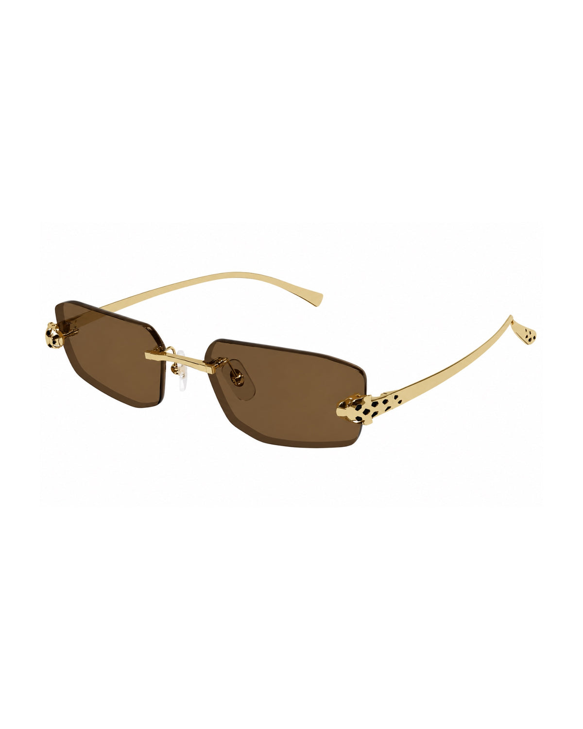 CT0474S Sunglasses