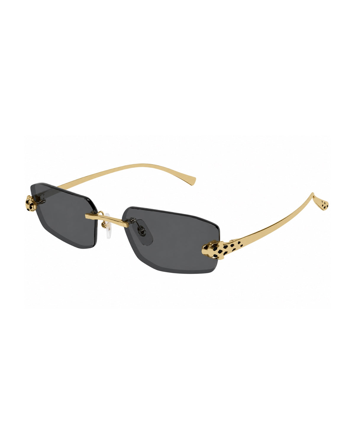 CT0474S Sunglasses