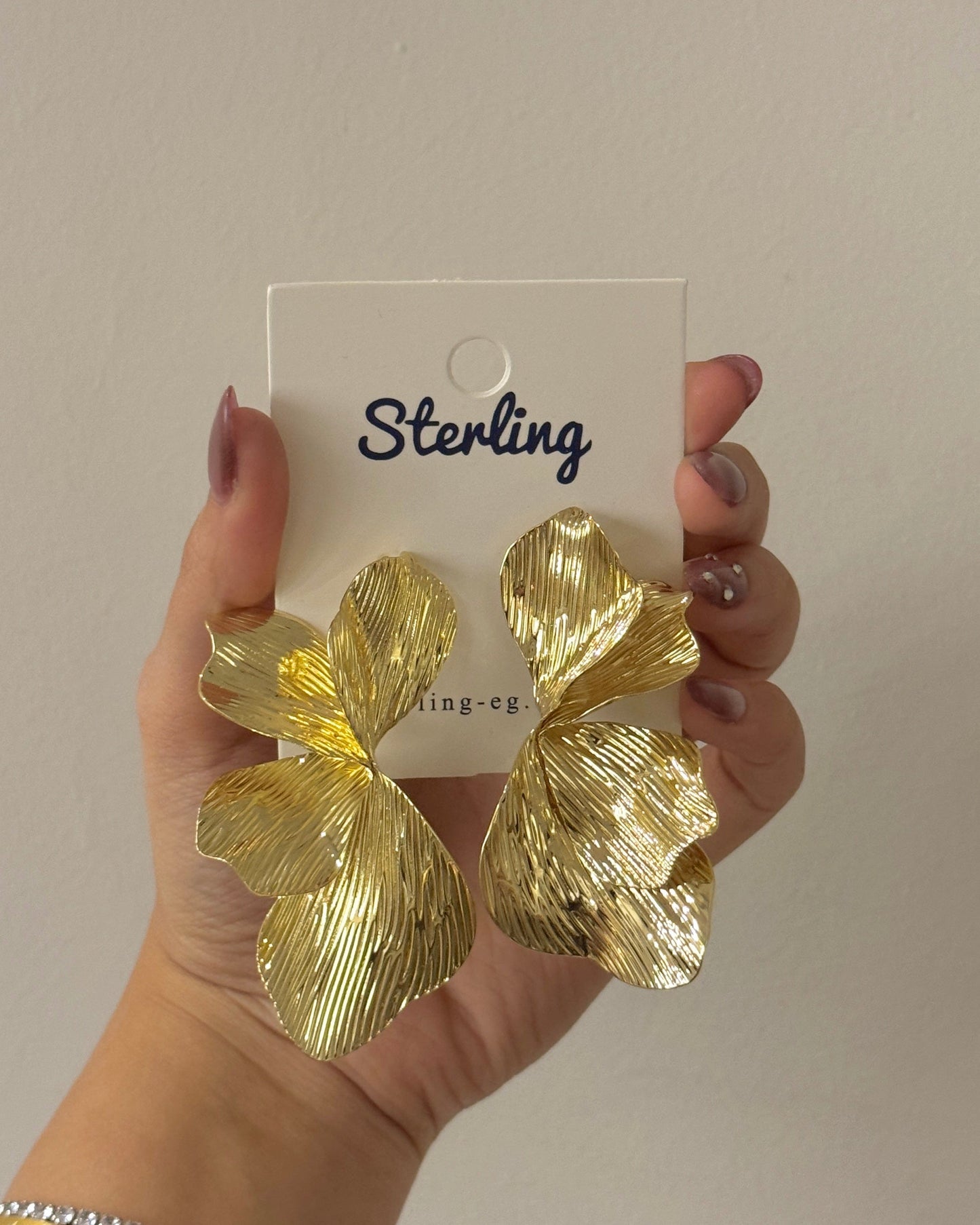 Earrings 25111809