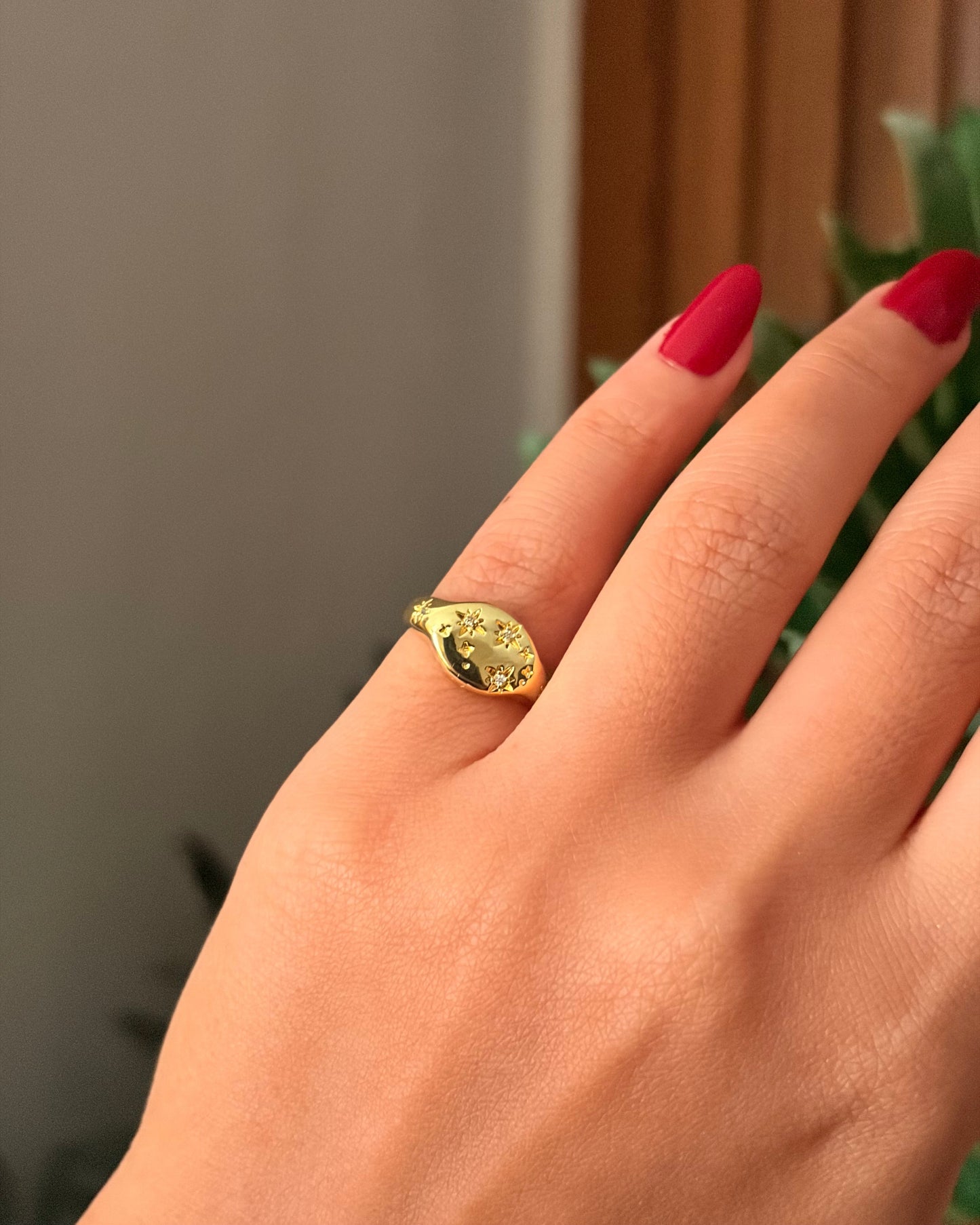 Pinky Rings 8072026-3